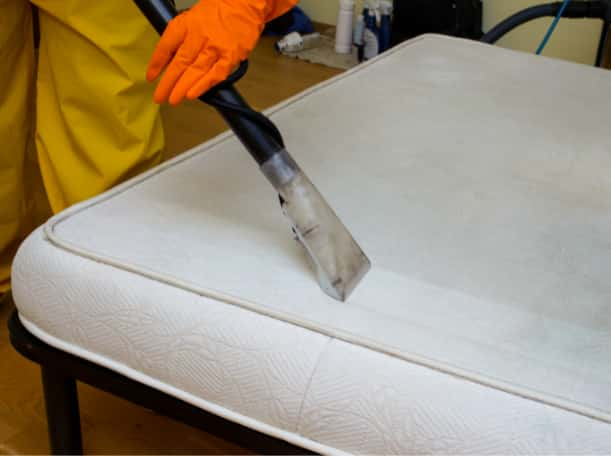 This is a photo of a man steam cleaning a dirty mattress carried out by Purley Carpet Cleaning Solutions.